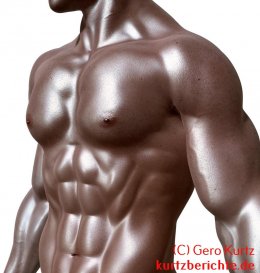 Testosteron Speicheltest von verisana - muskulöser Männertorso
